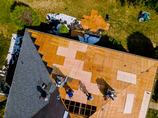 Best Roof Restoration Services  in Thruston, KY
