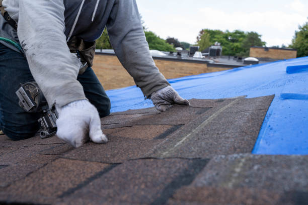 Best Best Roofing Contractors  in Thruston, KY