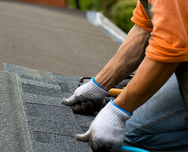 Best Gutter Installation and Roofing  in Thruston, KY